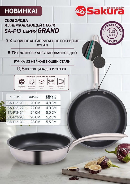 презентация SA-F13