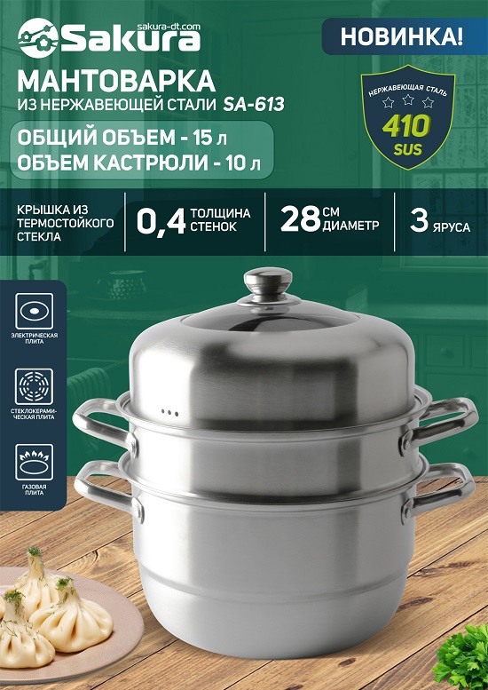 SA-613 презентация